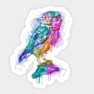 Colorful Owl Sticker